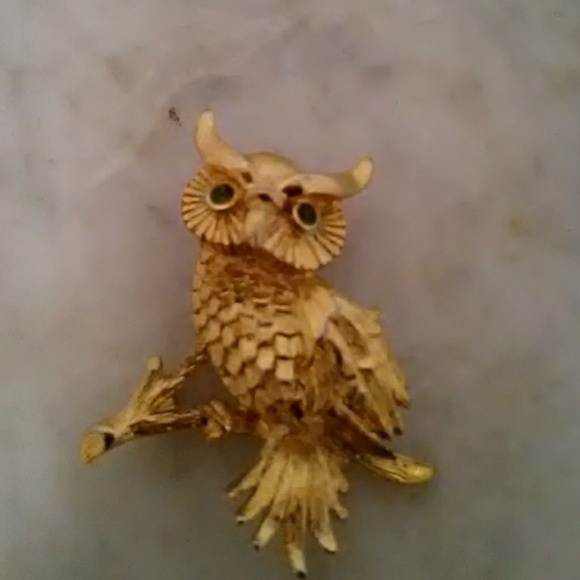 Monet Jewelry - MONET OWL BROOCH!